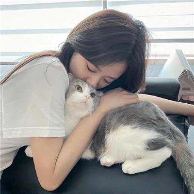 我们恋爱的履历